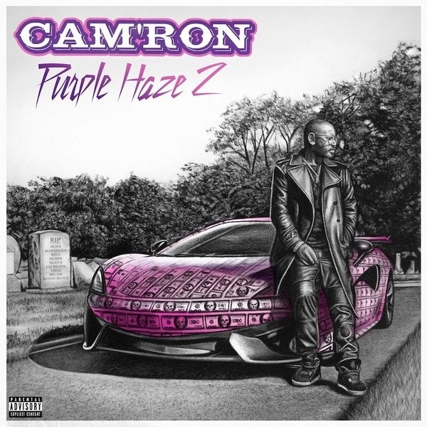 7 Takeaways from Purple Haze 2 by Cam’ron
